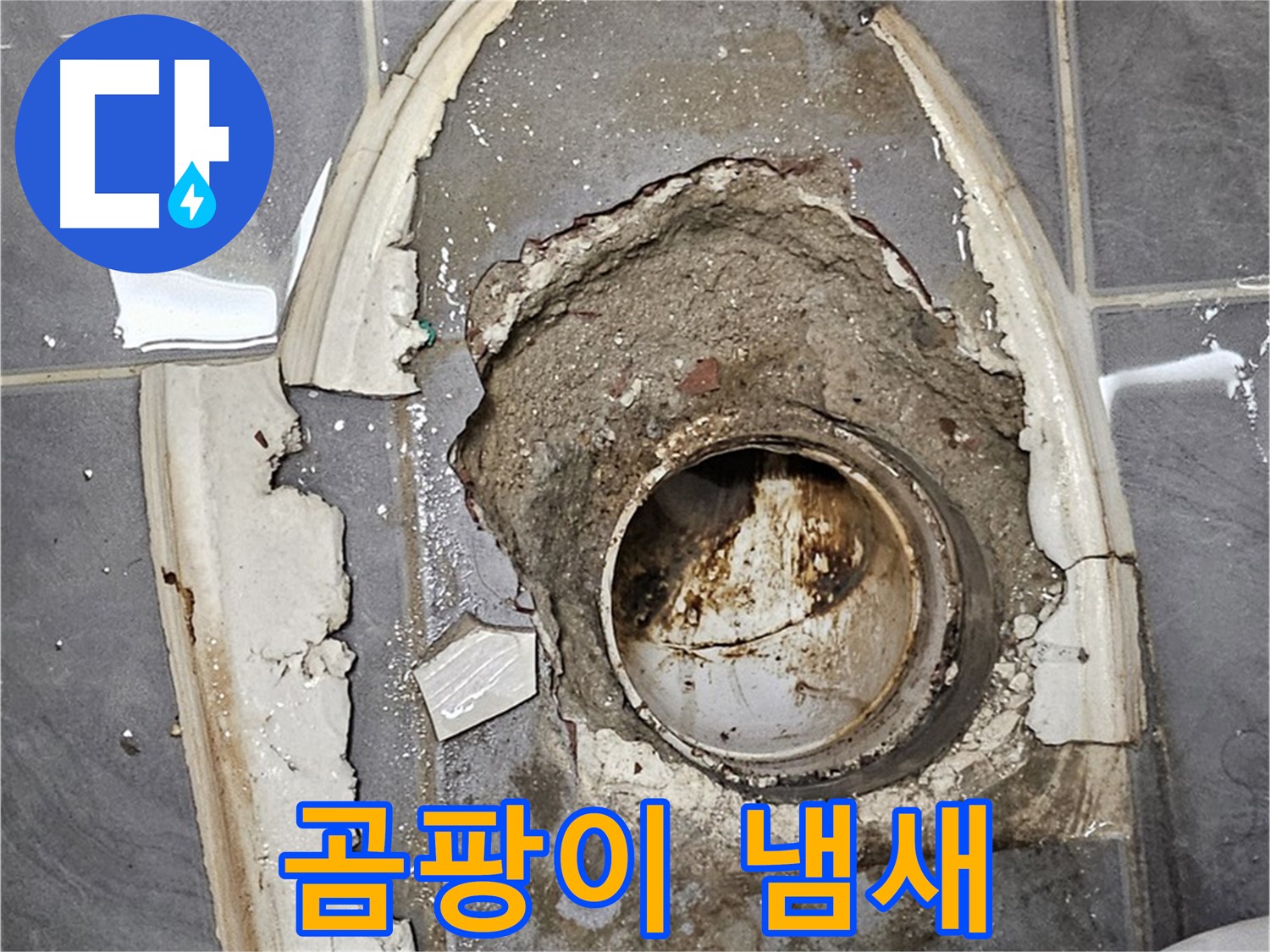 양천구 변기 누수 - 곰팡이 냄새