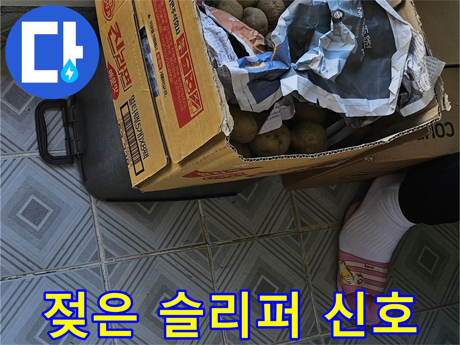 양천구 신월1동 엘리시안 누수 현장 - 감자 박스 옆 젖은 슬리퍼는 누수를 알리는 신호탄일 수 있습니다 - 주변을 꼼꼼히 살펴보세요.
