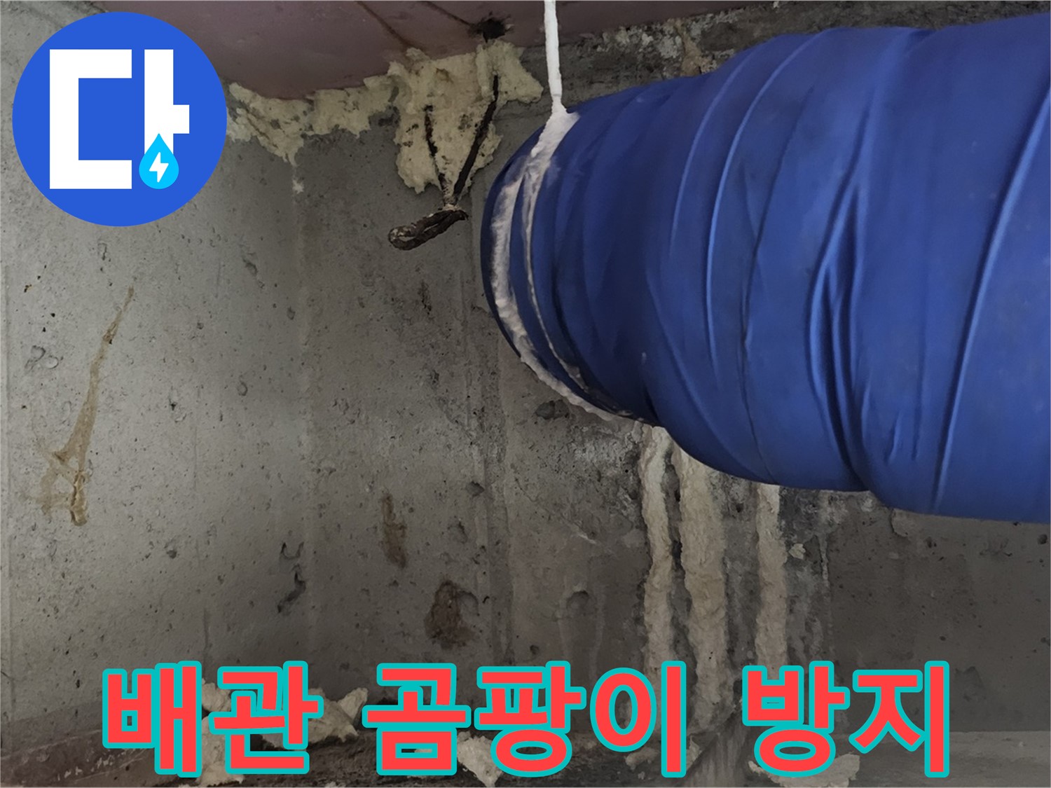 양천구 신월동 누수 - 배관 폼 충진 시공으로 곰팡이 방지