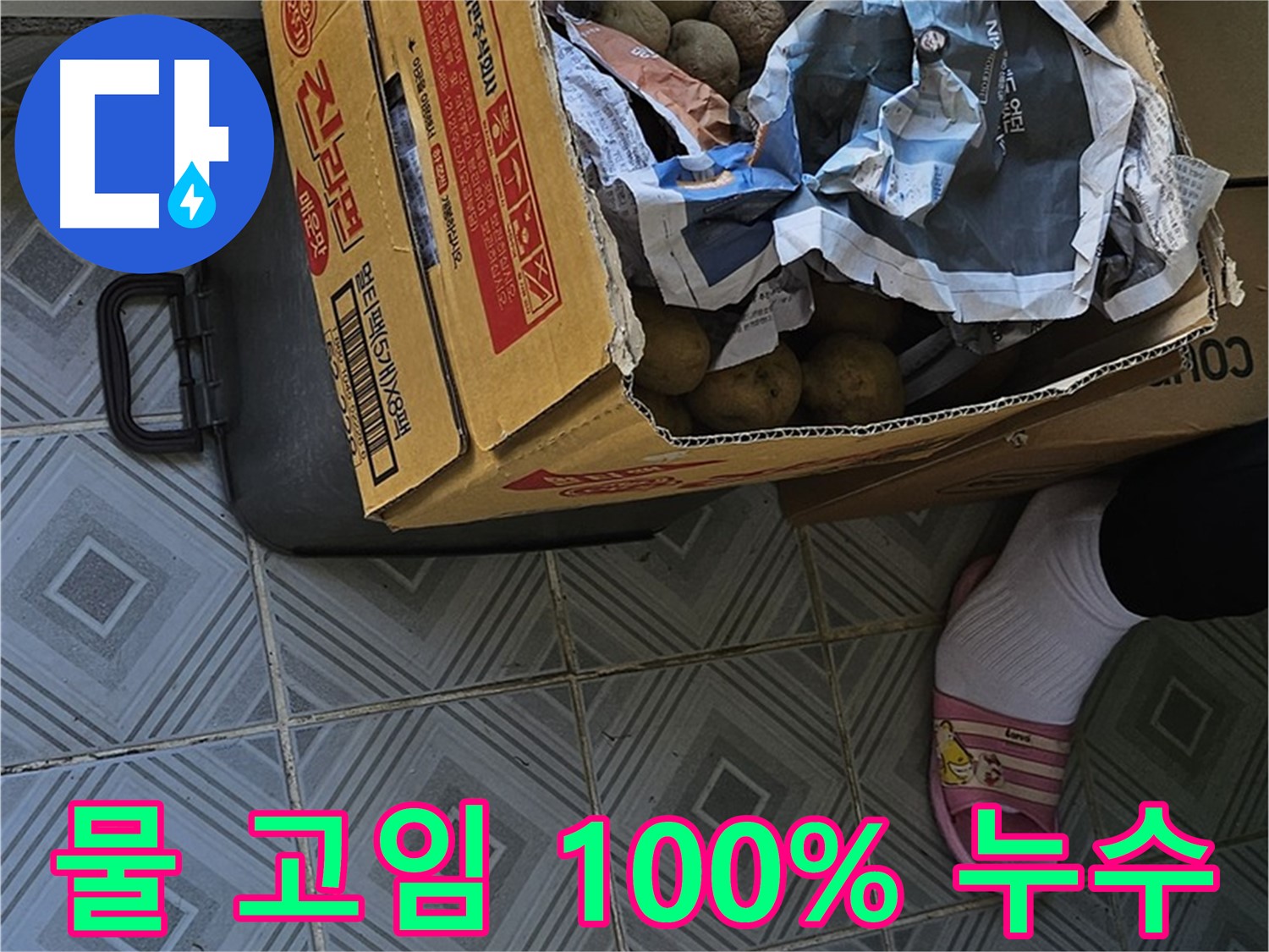양천구 신월동 누수 현장 - 감자 박스 주변에 물이 고여 있다면 100% 누수입니다 - 즉시 전문가에게 문의하세요.