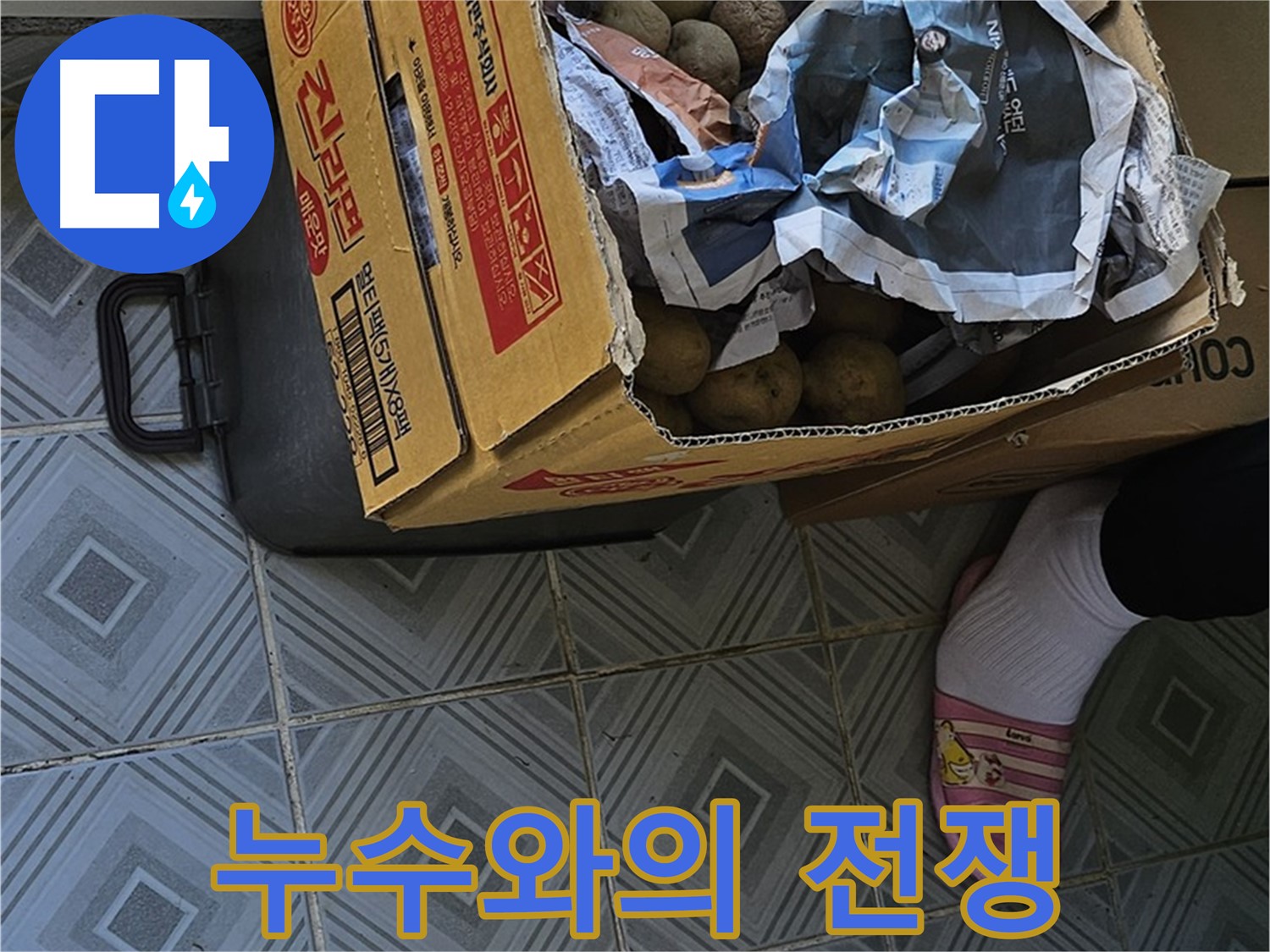 양천구 신월동 누수 현장 - 감자 박스는 누수와의 전쟁에서 중요한 역할을 할 수 있습니다 - 철저한 분석이 필요합니다.