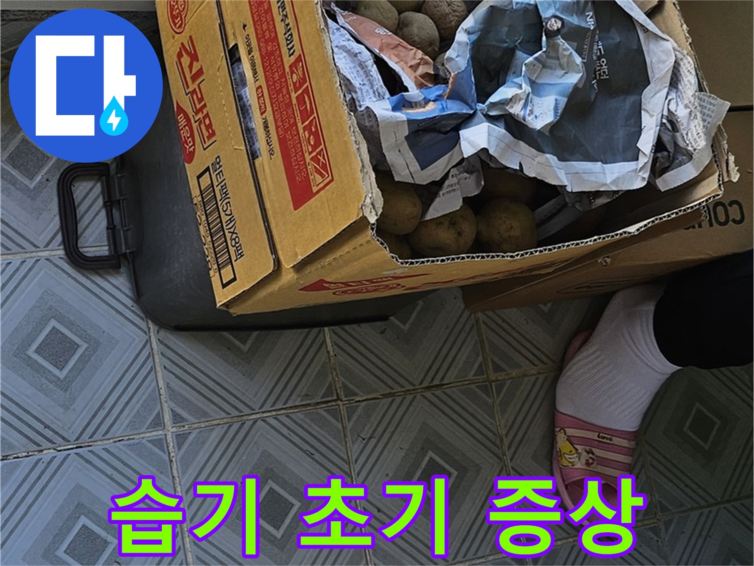 양천구 신월동 엘리시안 누수 현장 - 감자 박스 주변 습기는 누수 초기 증상일 수 있습니다 - 꼼꼼한 점검이 필요합니다.