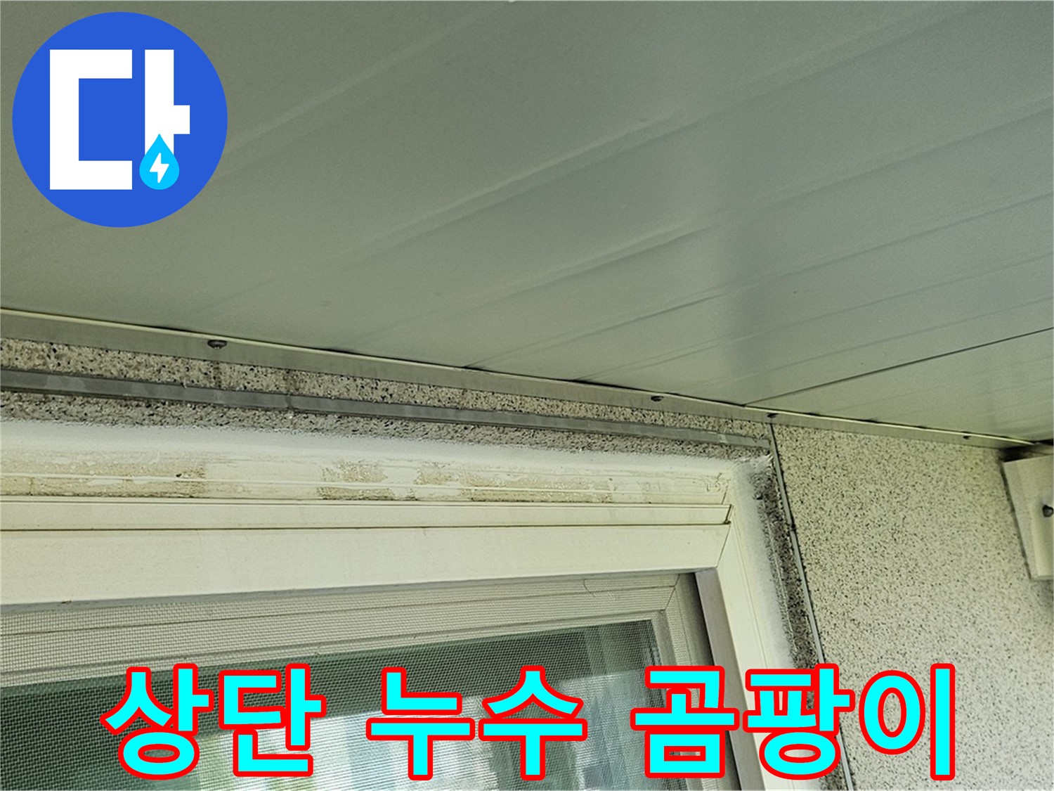 양천구 신월동 - 창틀 상단에 누수 흔적과 곰팡이가 발생한 사진입니다.