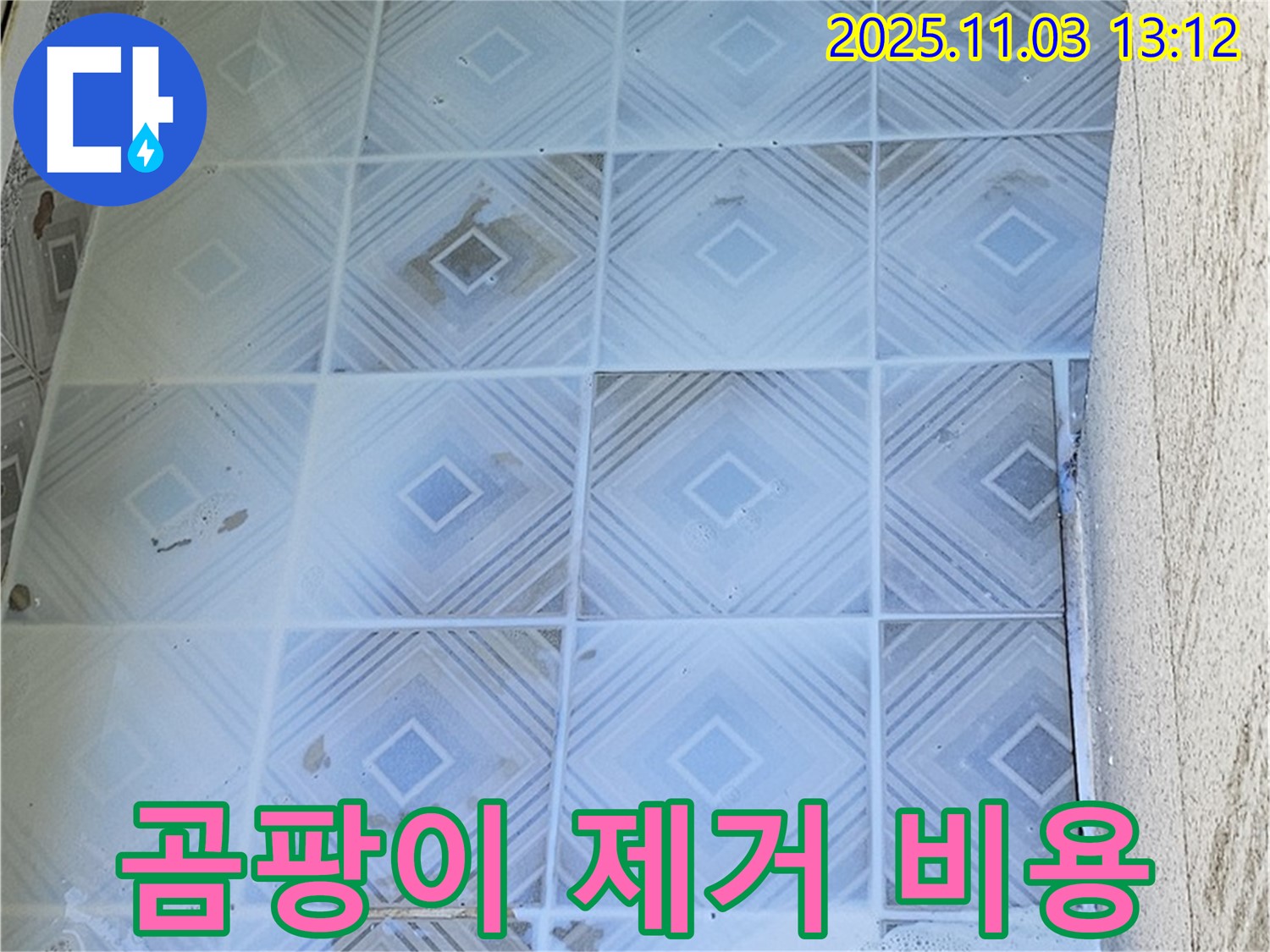 양천구 신월동 타일 곰팡이 - 곰팡이 제거 비용 알아보기 - 곰팡이 제거 비용은 곰팡이의 종류와 범위에 따라 달라집니다.
