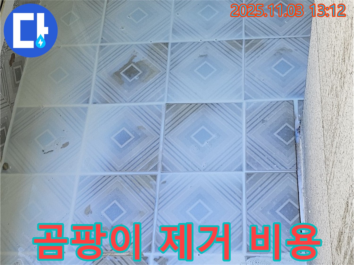 양천구 신월동 타일 곰팡이 - 곰팡이 제거 비용 알아보기 - 곰팡이 제거 비용은 곰팡이의 종류와 범위에 따라 달라집니다.