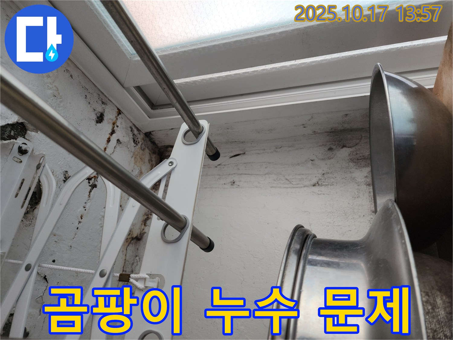 곰팡이와 누수 - 곰팡이와 누수 문제를 함께 보여주는 사진입니다. 곰팡이 제거와 누수 해결의 필요성을 강조합니다.