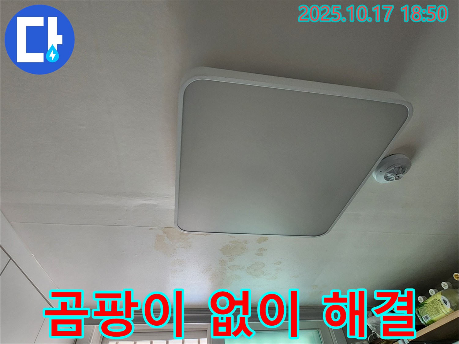 양주시 남면 상수리 주택 천장 - 곰팡이 걱정 없이 깨끗하게 누수 해결