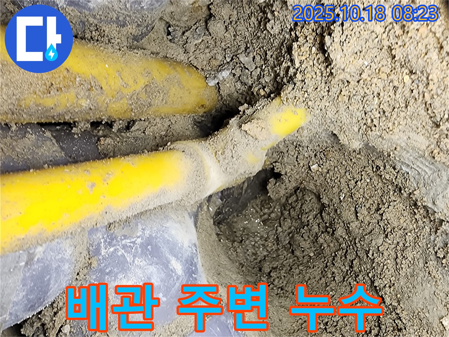양주 장흥면 울대리 주택 누수 - 노란 가스 배관 주변에서 발견된 누수 지점