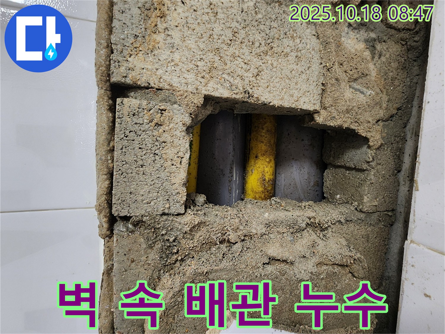 양주시 장흥면 울대리 - 벽 속 숨은 배관 누수 지점 발견 및 보수 완료