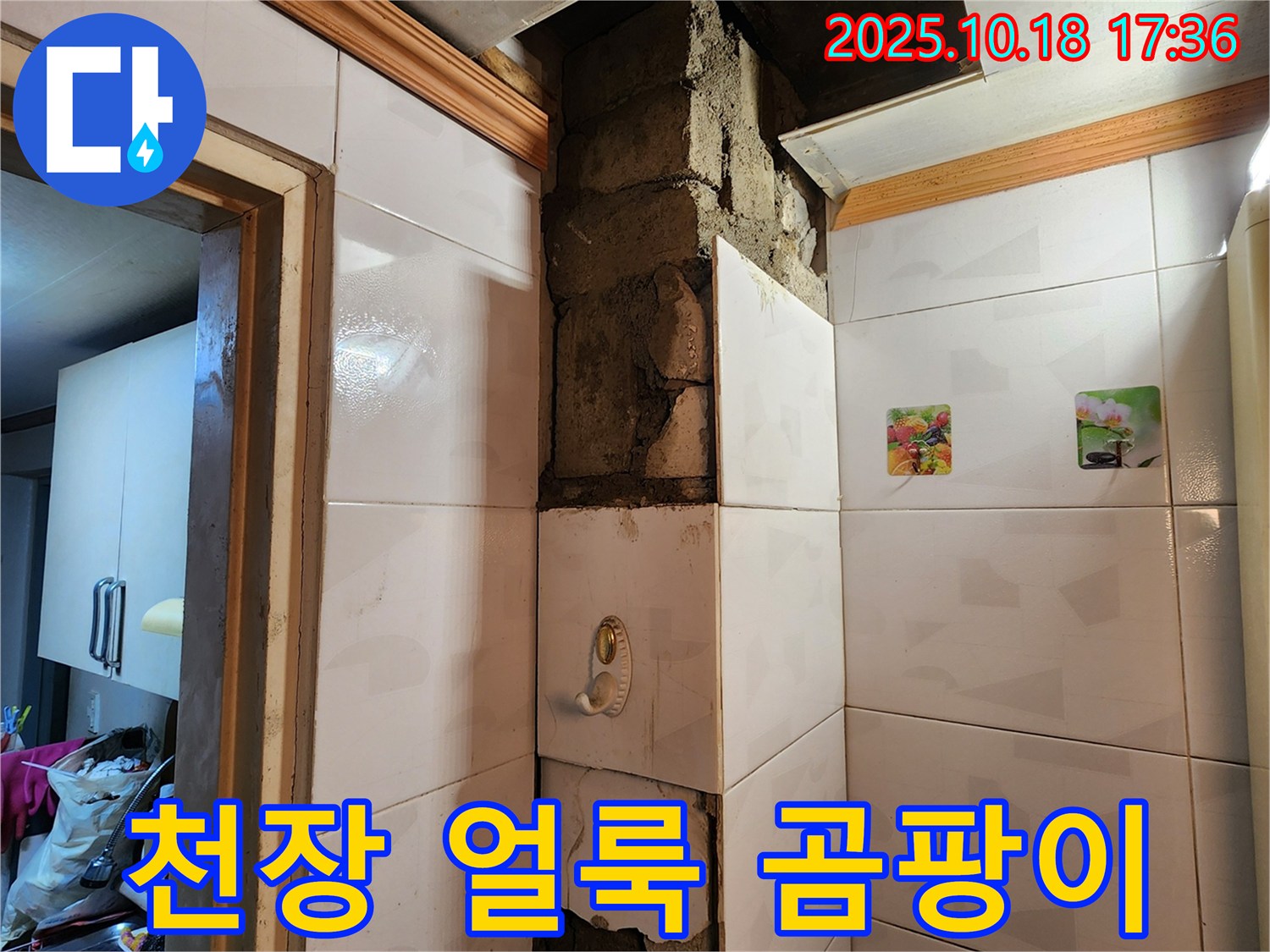 양주시 장흥면 교현리 누수 - 아랫집 천장의 심각한 물 얼룩과 곰팡이