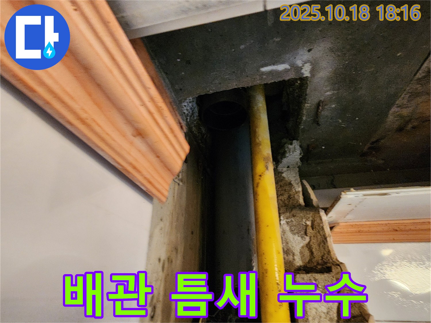 양주시 장흥면 교현리 누수 현장 - 노후 배관 틈새에서 발생한 누수를 보여주는 사진입니다 - 신속하게 탐지 후 해결!