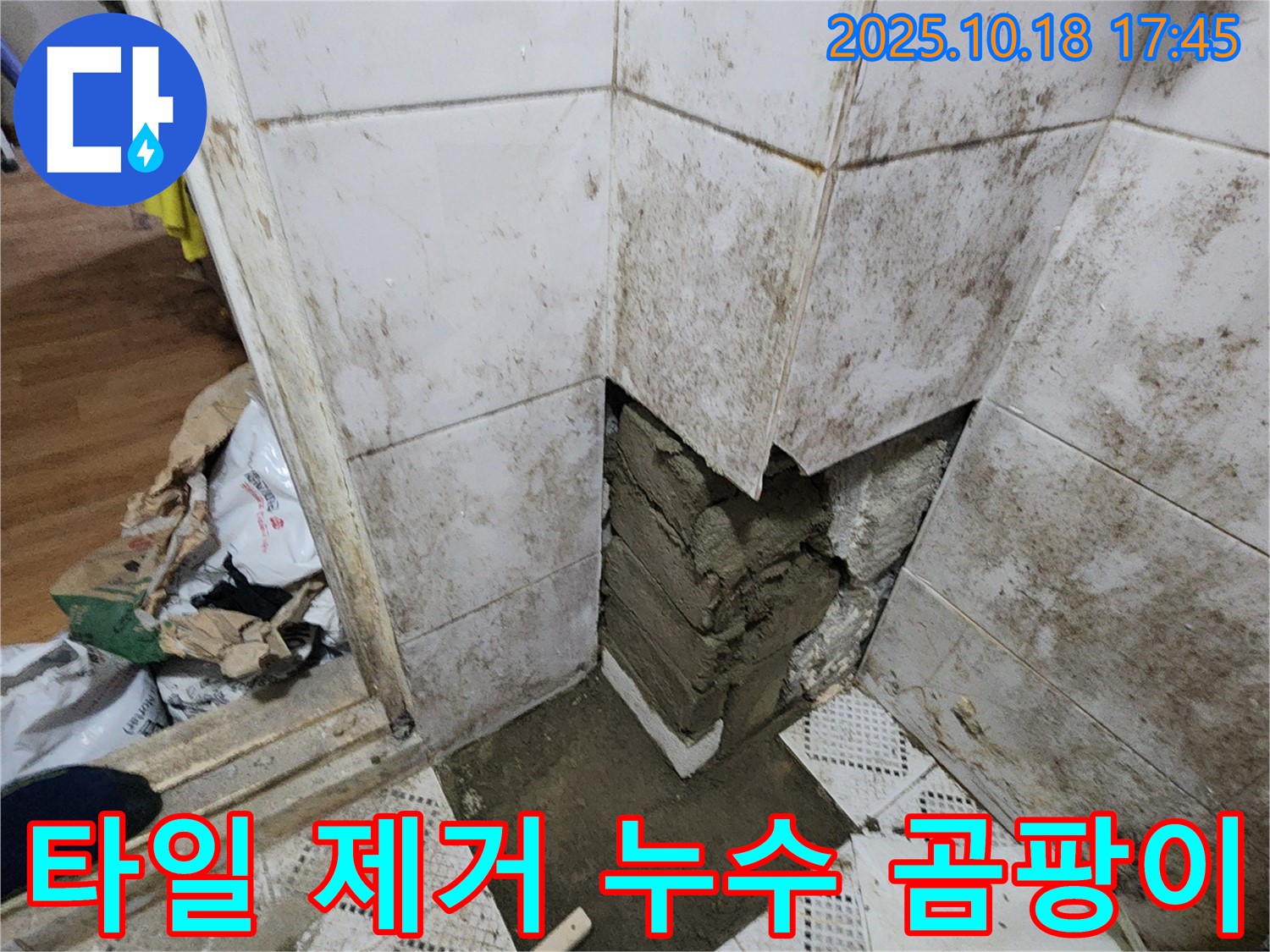 양주시 장흥면 교현리 누수 현장 - 타일 제거 후 심각한 곰팡이와 누수 흔적