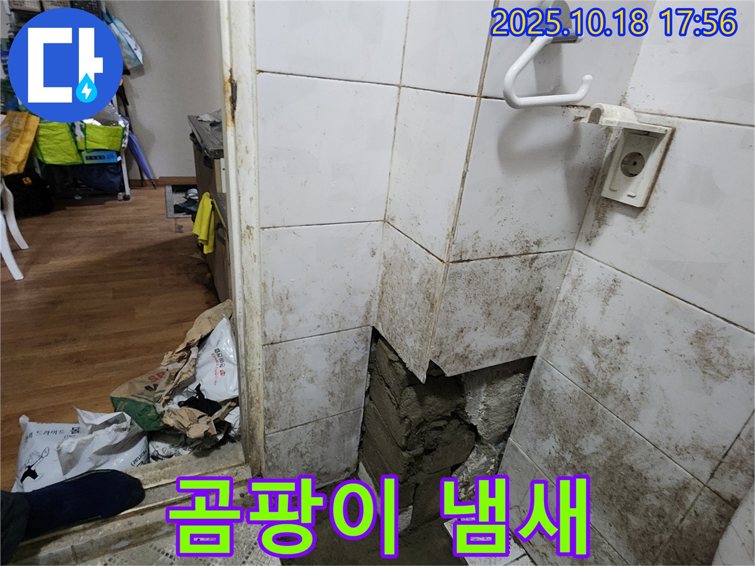 양주시 장흥면 누수 - 곰팡이 냄새, 누수 해결 후 쾌적한 공간으로