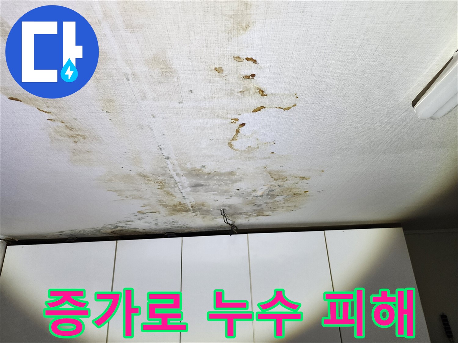 온수배관 문제로 발생한 아랫집 천장 누수 - 벽지 손상