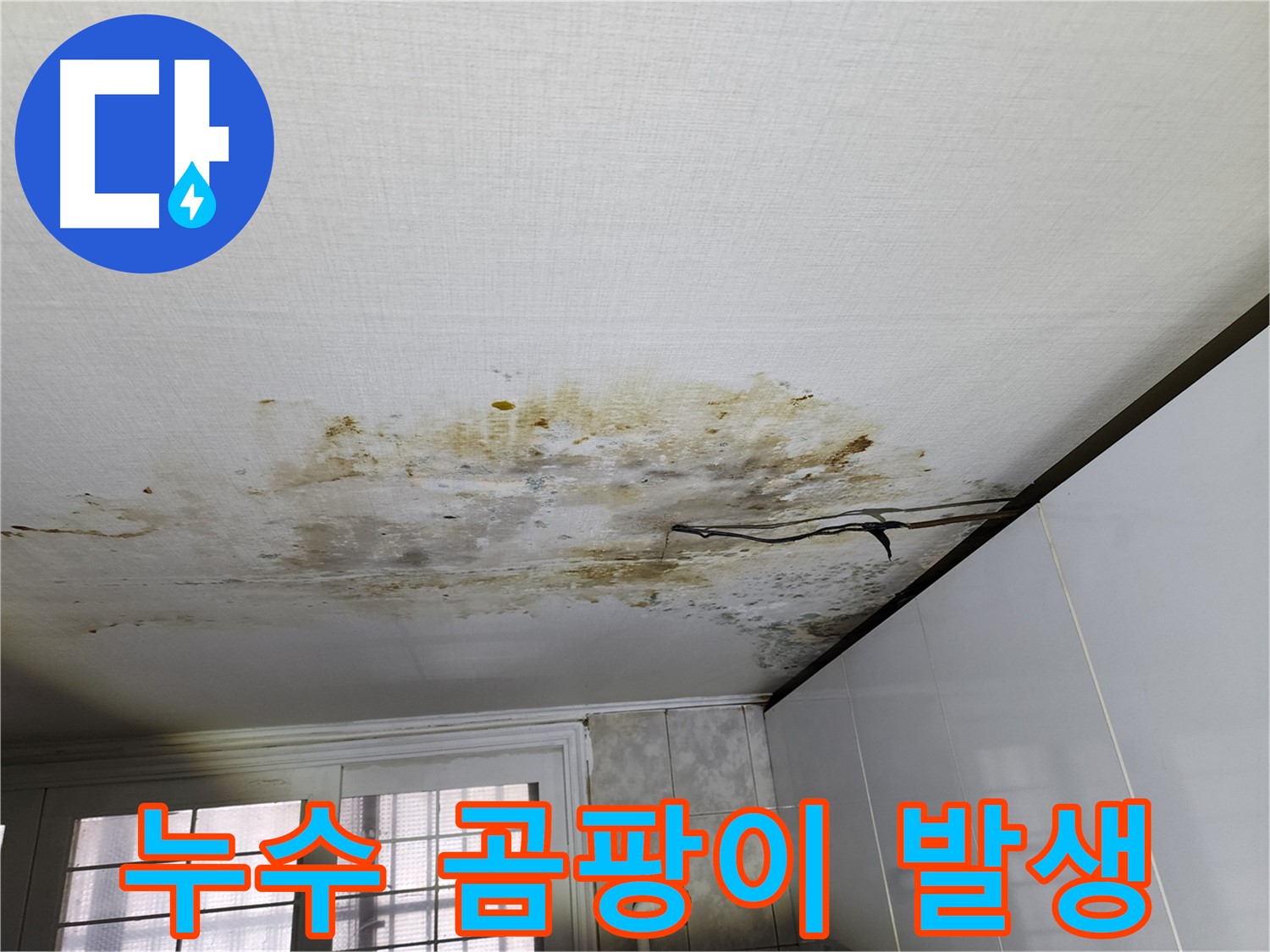 천장 누수 - 곰팡이 발생으로 인한 긴급 상황