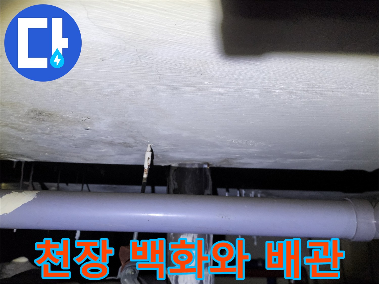 양주시 석현리-아래층 천장 슬래브의 백화 현상과 노출된 배관 상태