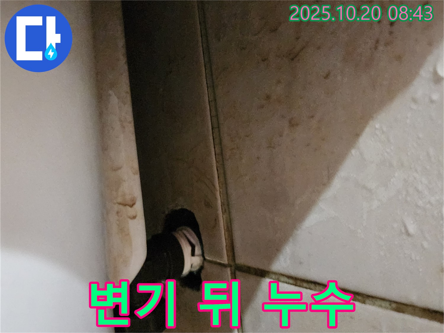 양주시 장흥면 석현리 변기 뒤 누수 해결 과정 - 누수탐지 전문가가 문제 원인을 정확히 파악하고 해결했습니다.