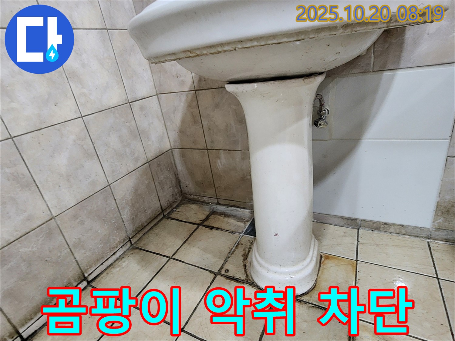 양주시 장흥면 석현리 세면대 곰팡이 악취 - 세면대 주변의 곰팡이와 악취 누수를 완벽하게 차단하는 시공을 진행하고 있습니다.