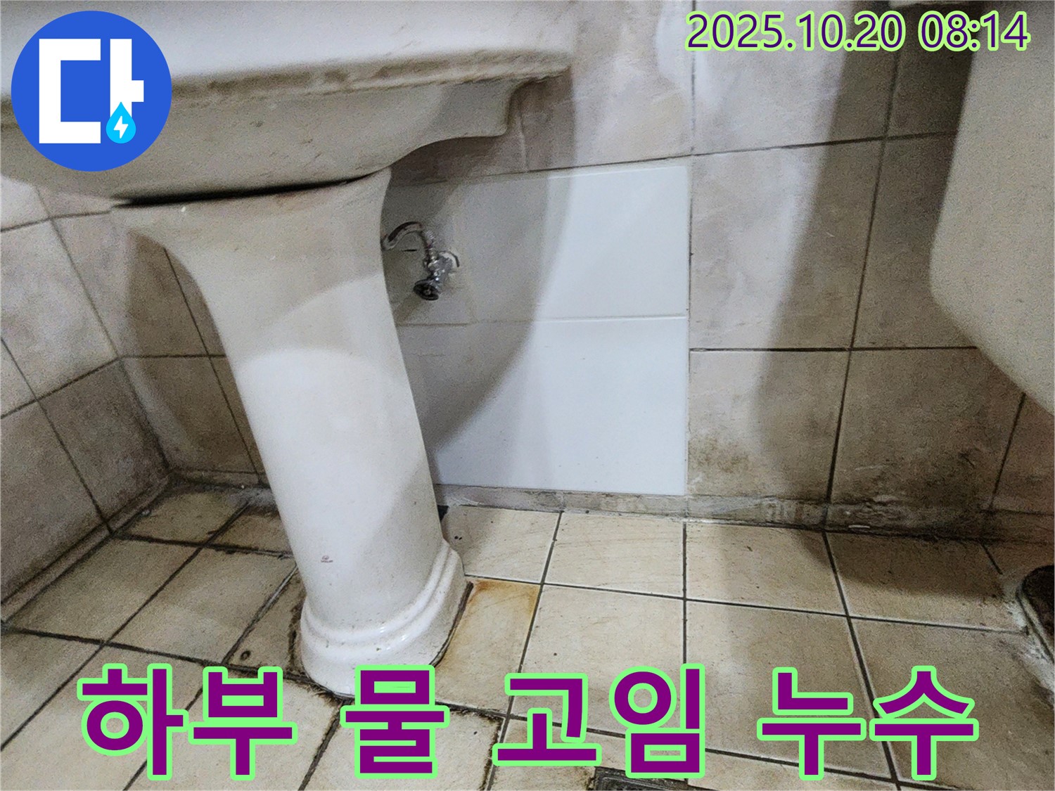 양주시 장흥면 석현리 세면대 하부 물 고임 - 세면대 하부 물 고임, 누수 가능성을 의심해 보세요.