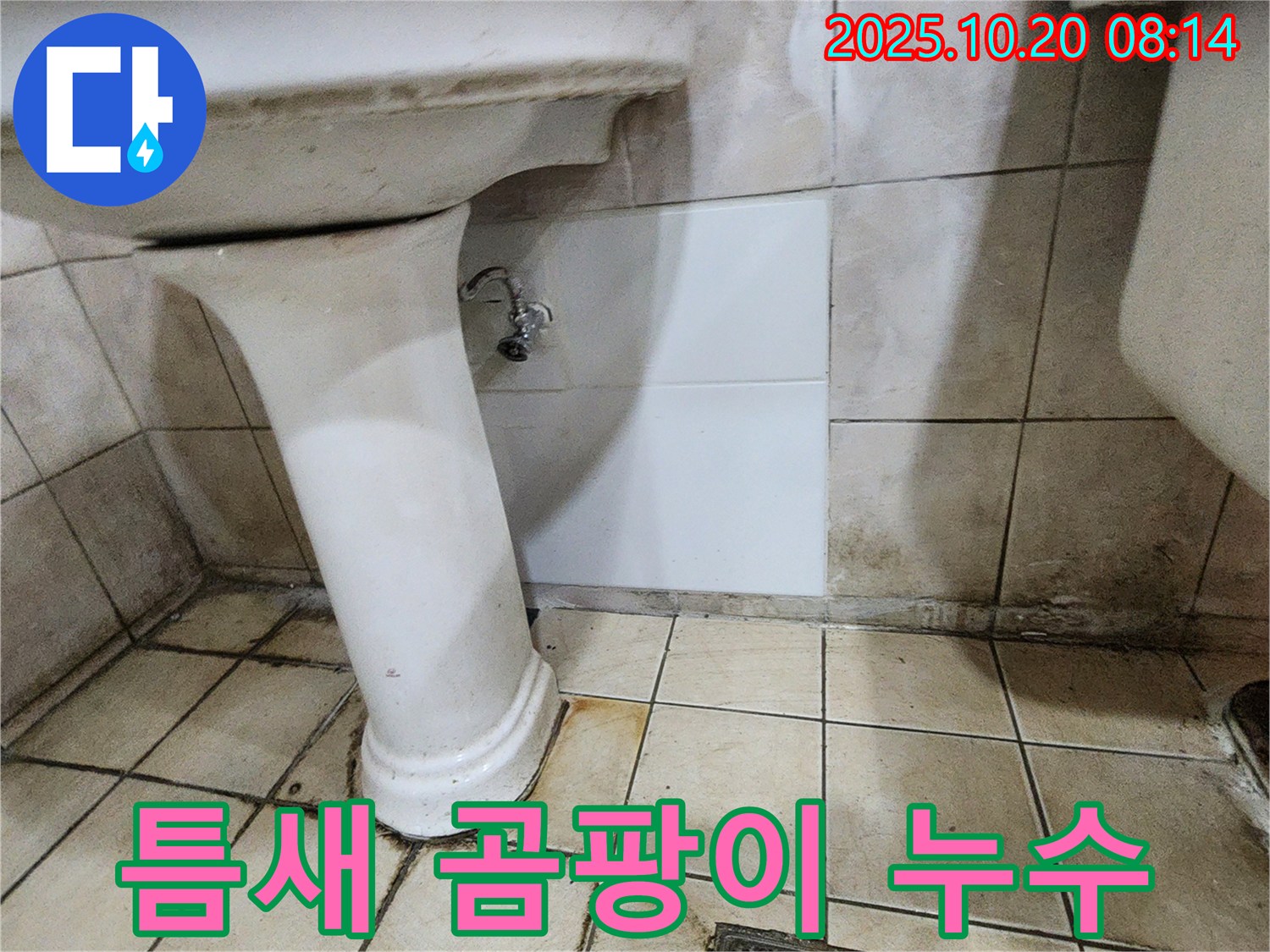 양주시 장흥면 석현리 세면대 하부 틈새 곰팡이 - 틈새 곰팡이, 누수의 신호일 수 있습니다.