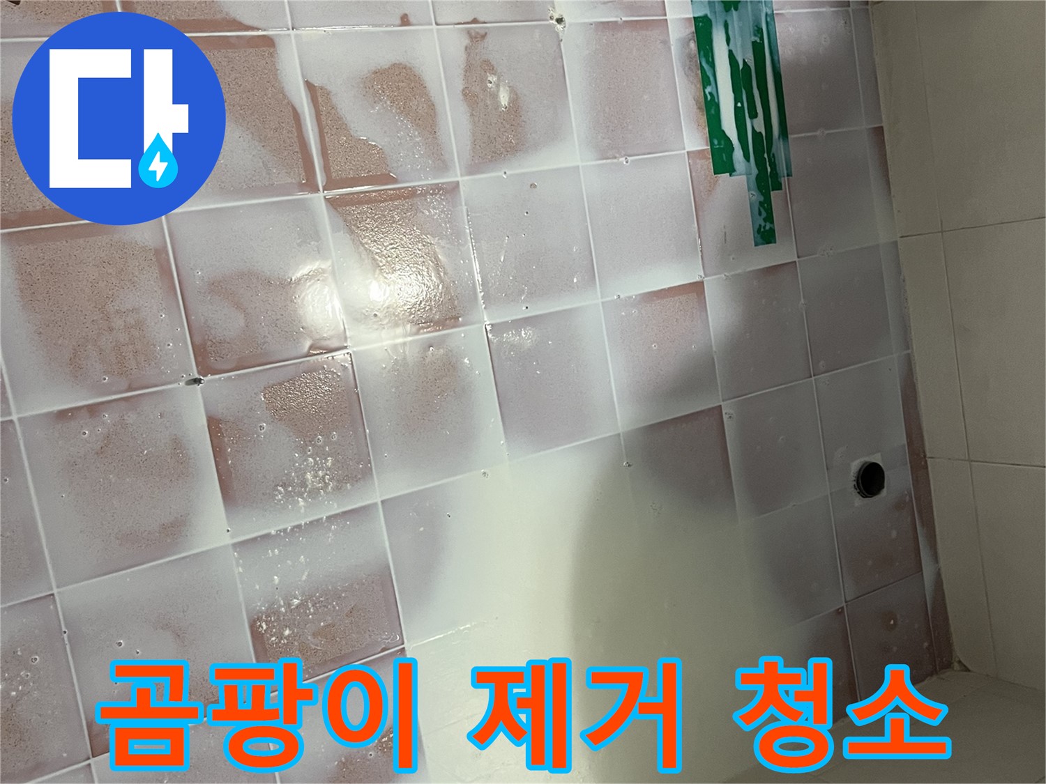 곰팡이 핀 백시멘트 - 깨끗하게 청소