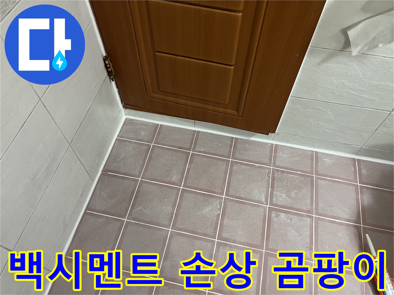 금천구 독산동 형제맨션빌 욕실 - 문 주변 타일 틈새 백시멘트 손상, 오염 및 곰팡이 점검