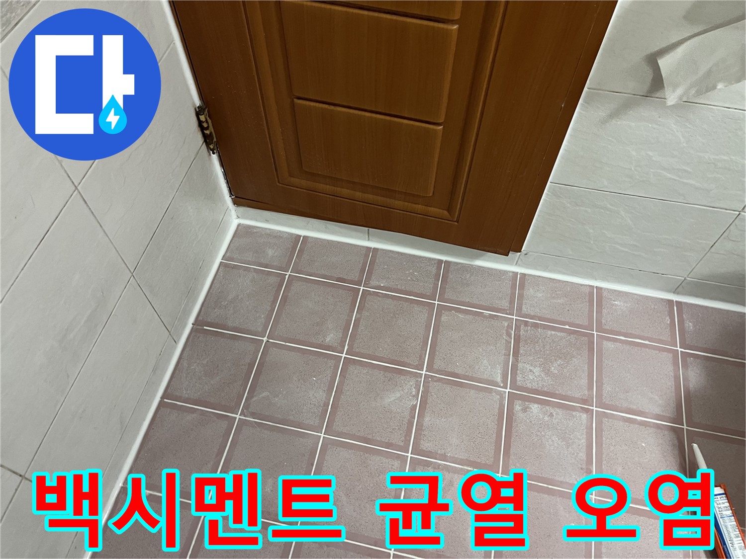 금천구 독산동 형제맨션빌 욕실 - 문 주변 타일 틈새 백시멘트의 심각한 균열과 오염 상태 점검