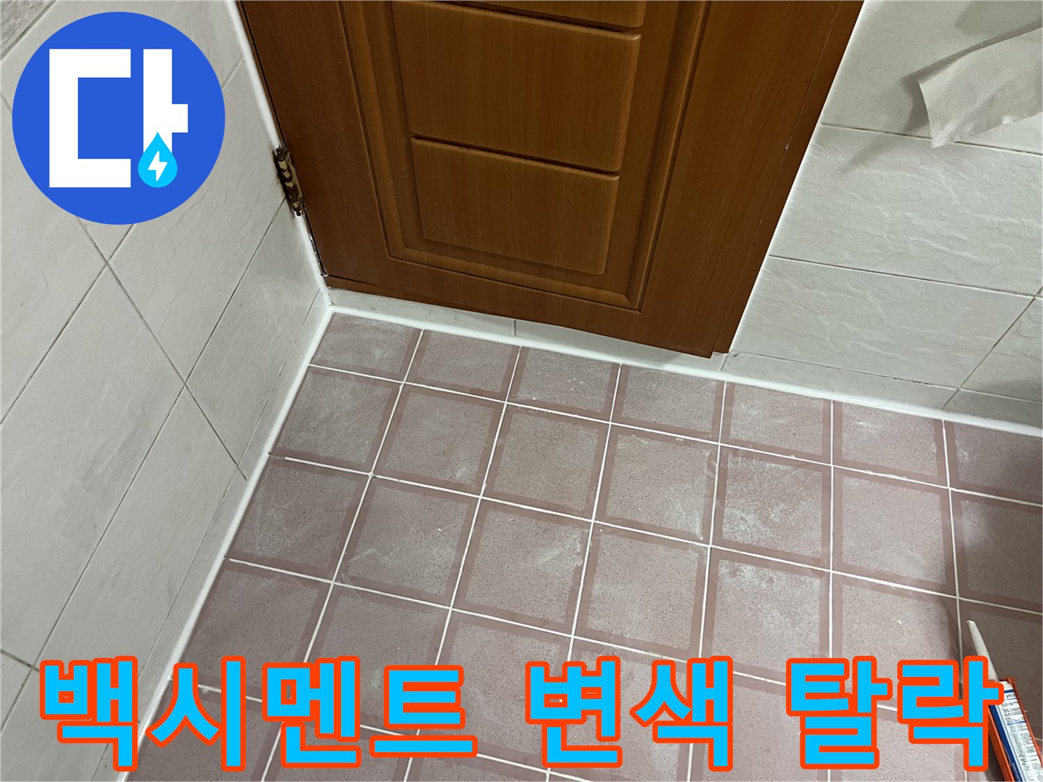 금천구 독산동 형제맨션빌 욕실 - 문 하단 타일 틈새 백시멘트의 심각한 변색과 탈락 상태 점검