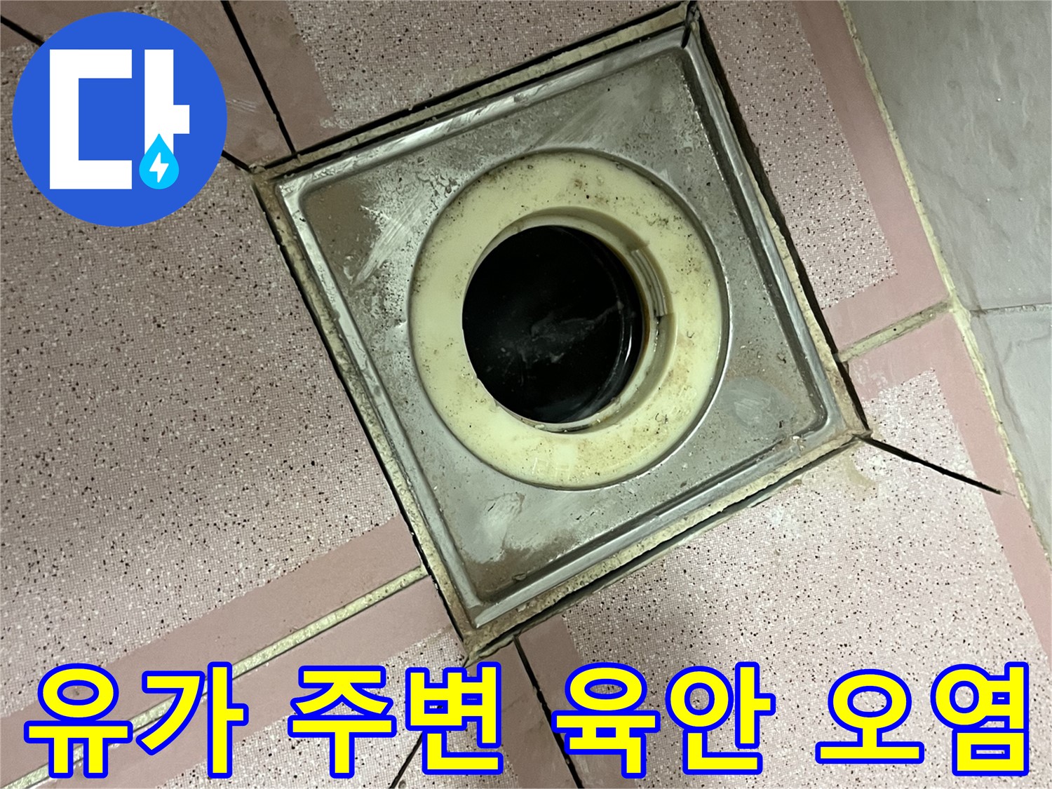 금천구 독산동 형제빌 유가 주변 육안 및 오염 점검 - 종합 누수 진단