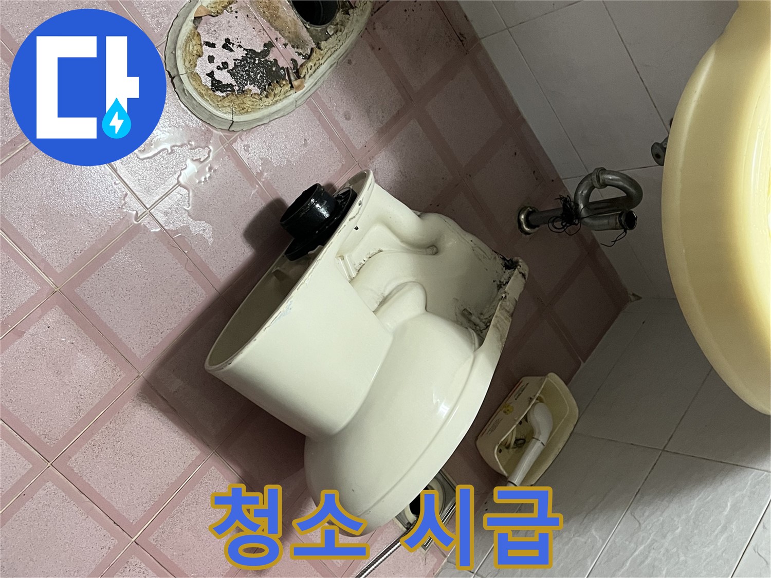 금천구 형제빌 - 곰팡이와 악취의 근원지, 변기 주변 청소 시급!