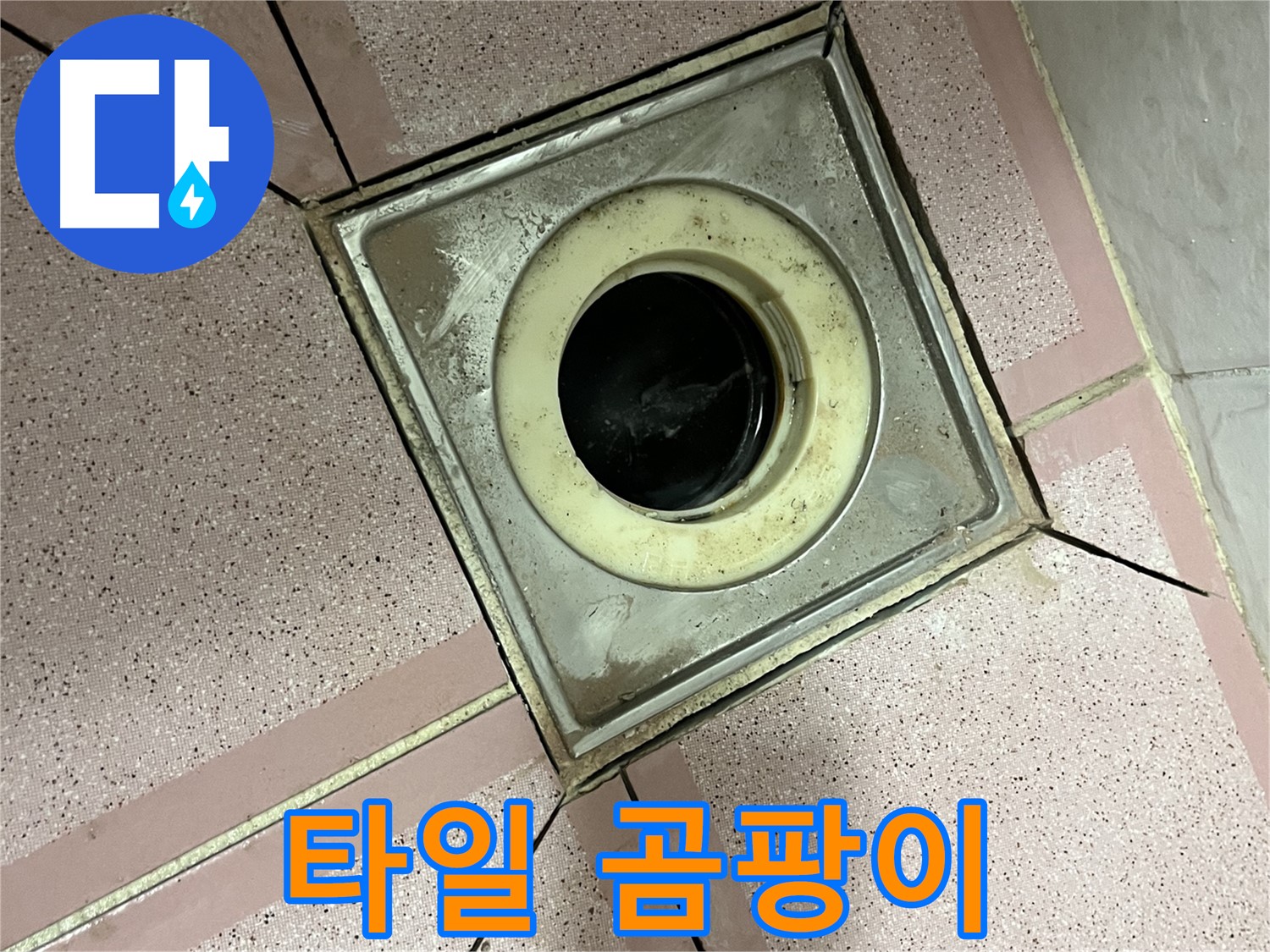 독산동 형제빌 누수 진단을 위한 유가 주변 타일 틈새 곰팡이 확인