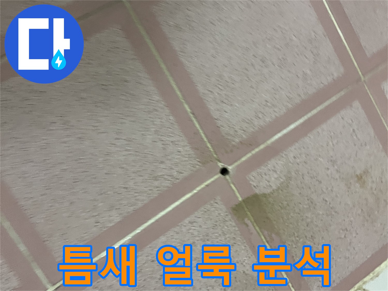 타일 틈새 작은 얼룩 - 금천구 형제빌 누수