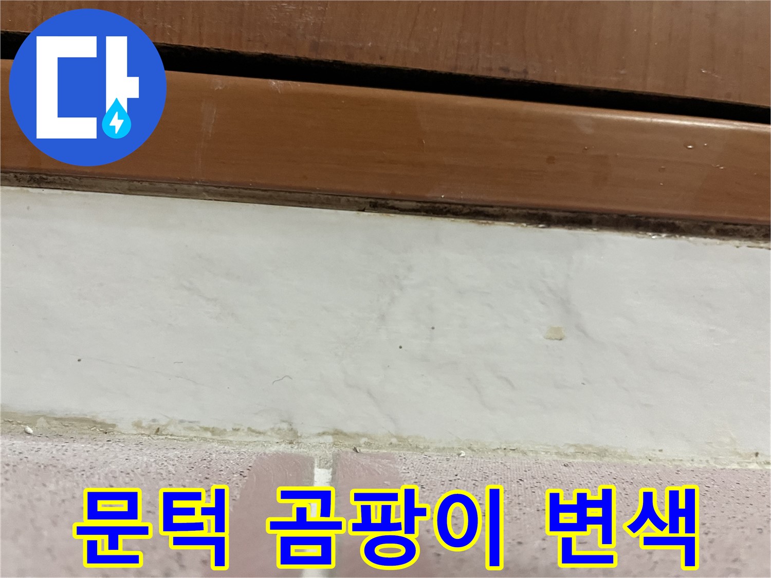 형제맨션빌 누수 - 문턱 아래 타일 틈새 곰팡이와 백시멘트 변색