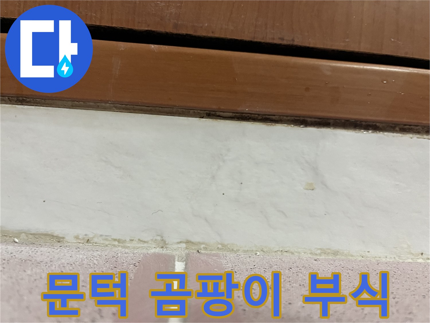 형제맨션빌 누수 - 문턱 아래 타일 틈새 곰팡이와 백시멘트 부식