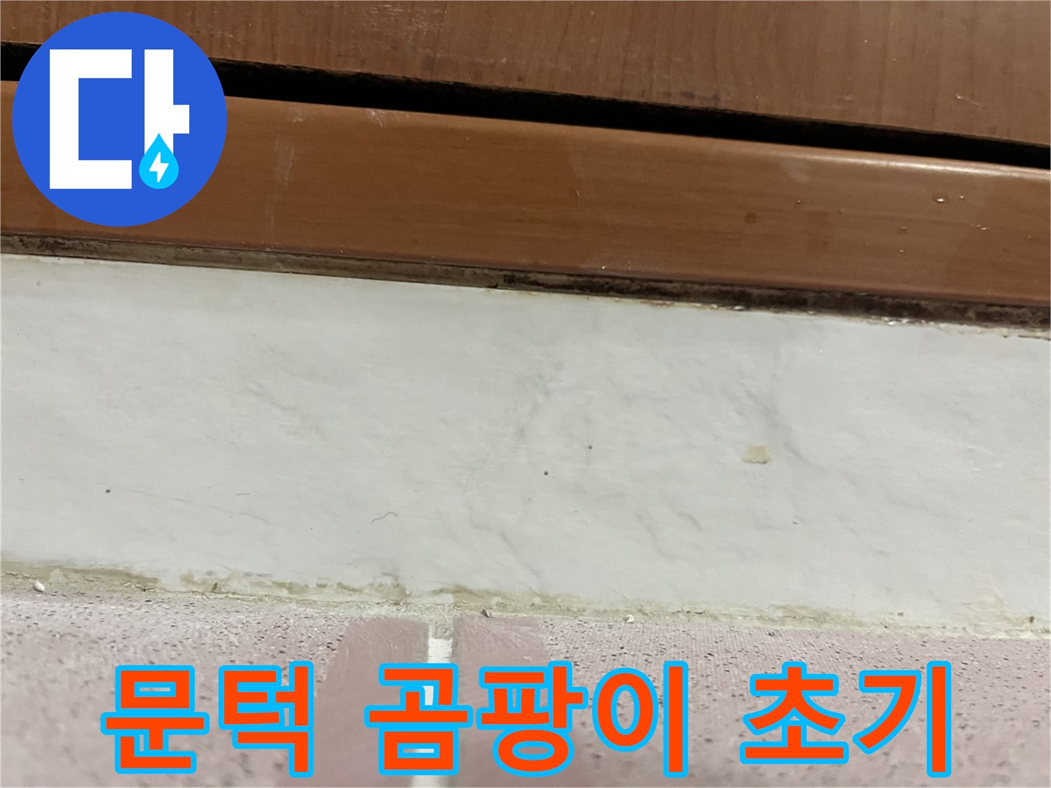 형제맨션빌 누수 - 문턱 아래 타일 틈새 곰팡이와 습기 초기