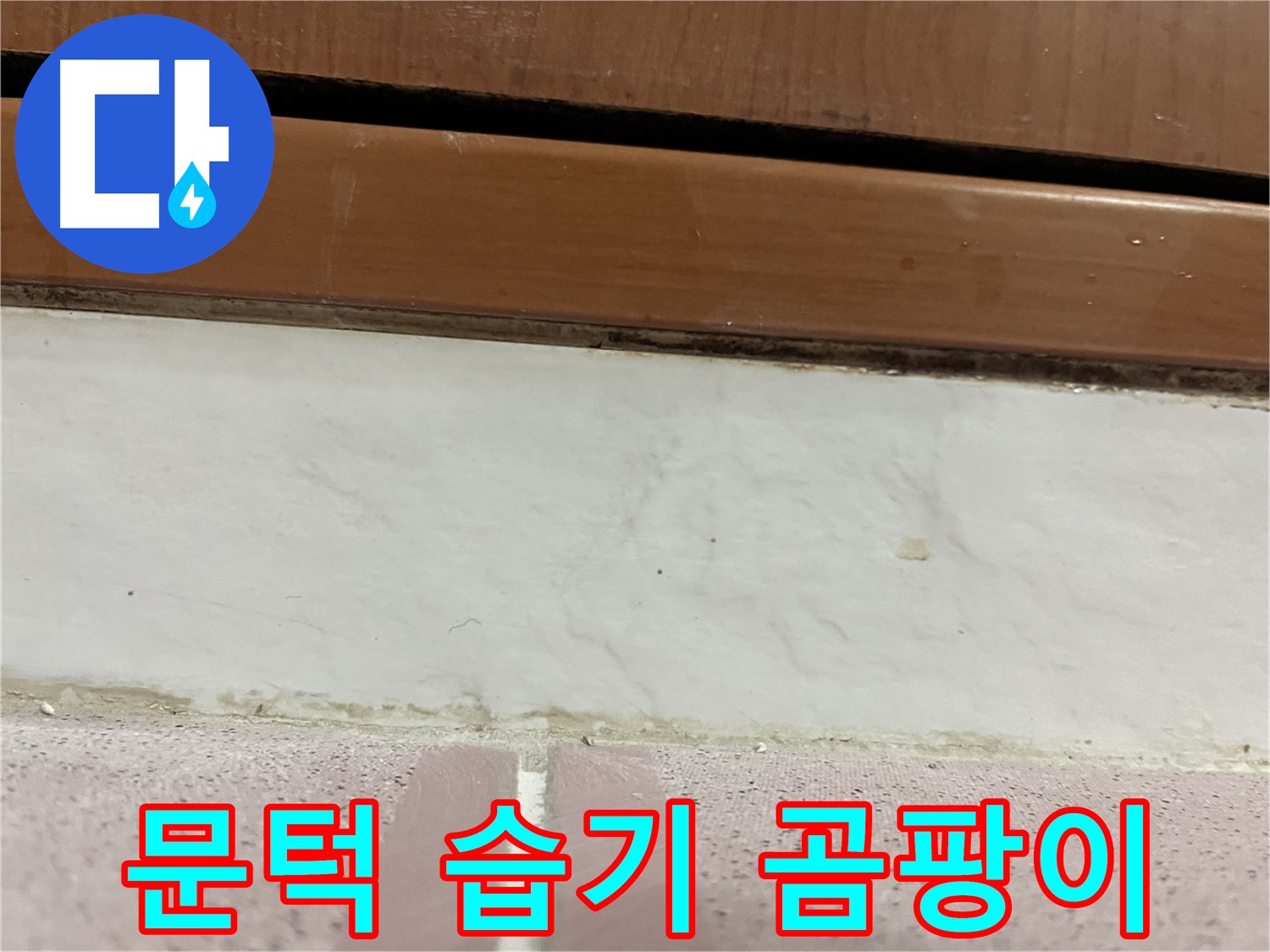 형제맨션빌 누수 - 문턱 아래 타일 틈새 습기와 미세한 곰팡이