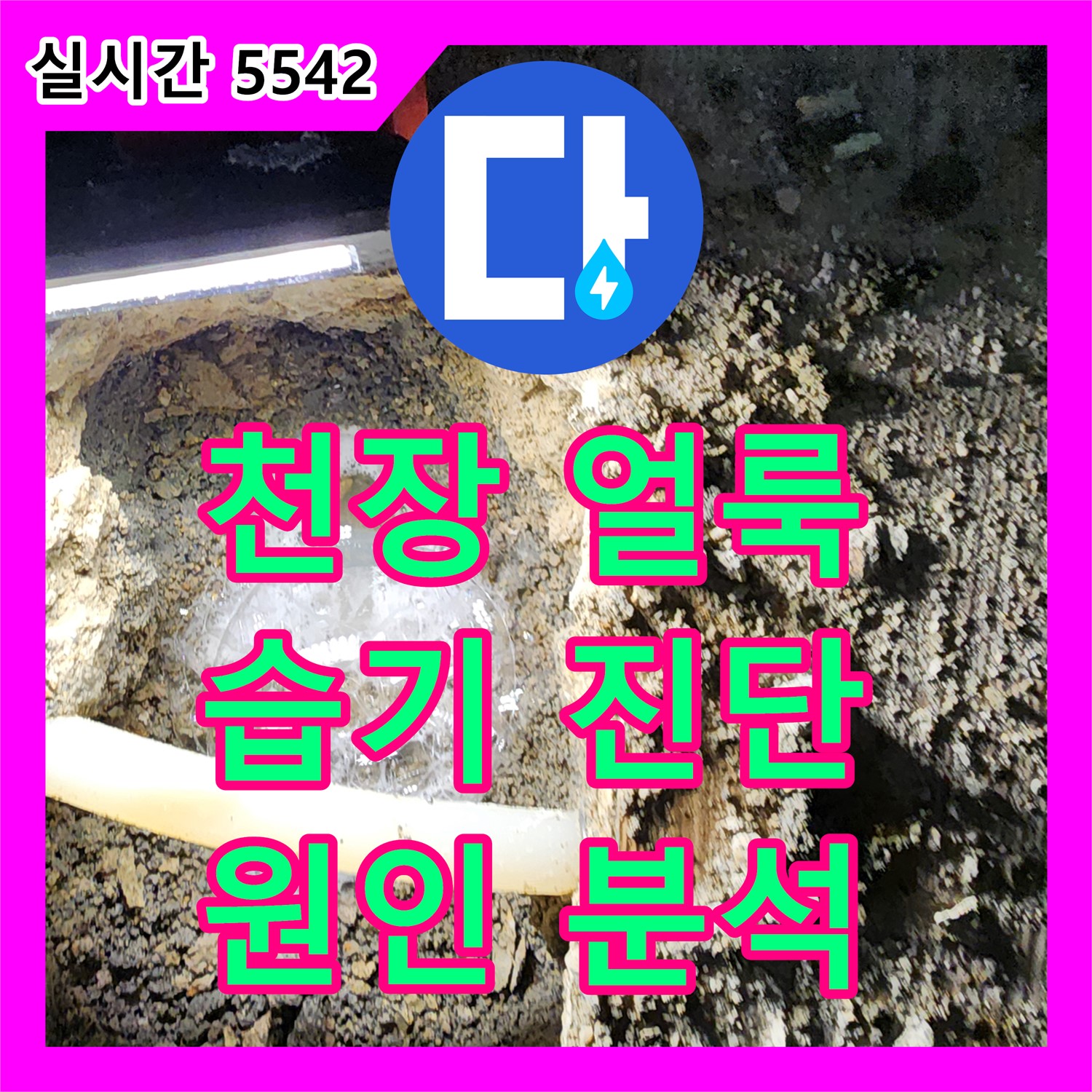 누수전문, 장흥면 콘크리트 천장 얼룩, 습기 완벽 진단