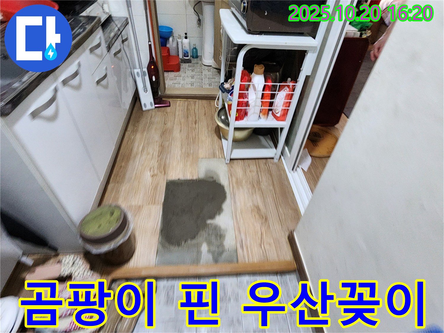 양주 장흥면 부곡리 누수 - 현관 곰팡이 핀 우산꽂이의 원인, 누수를 의심하고 정확하게 진단합니다.
