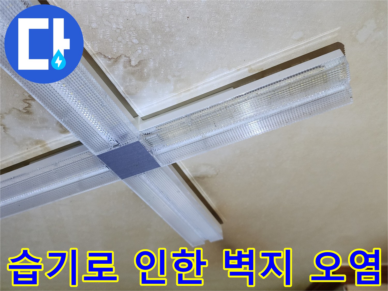 천장 마감재의 습윤 상태와 광범위한 물 얼룩 패턴