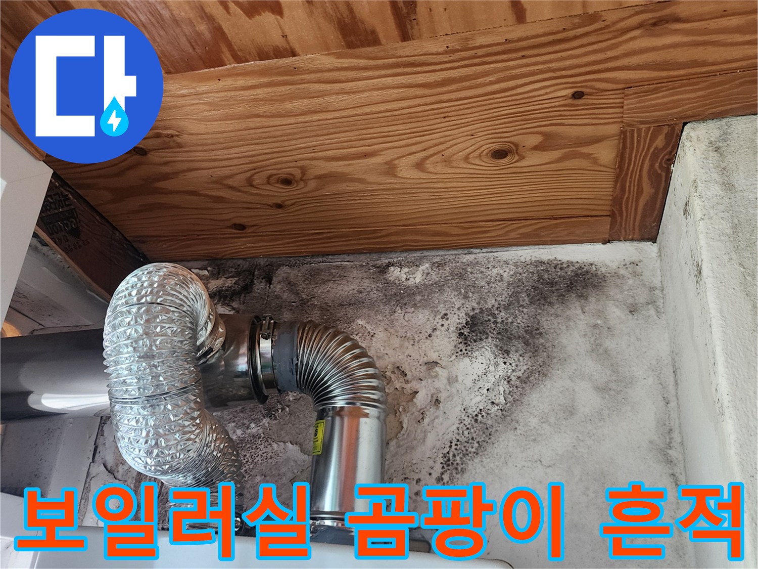 보일러 연통 주변-벽면의 검은 곰팡이와 천장 목재 변색 상태