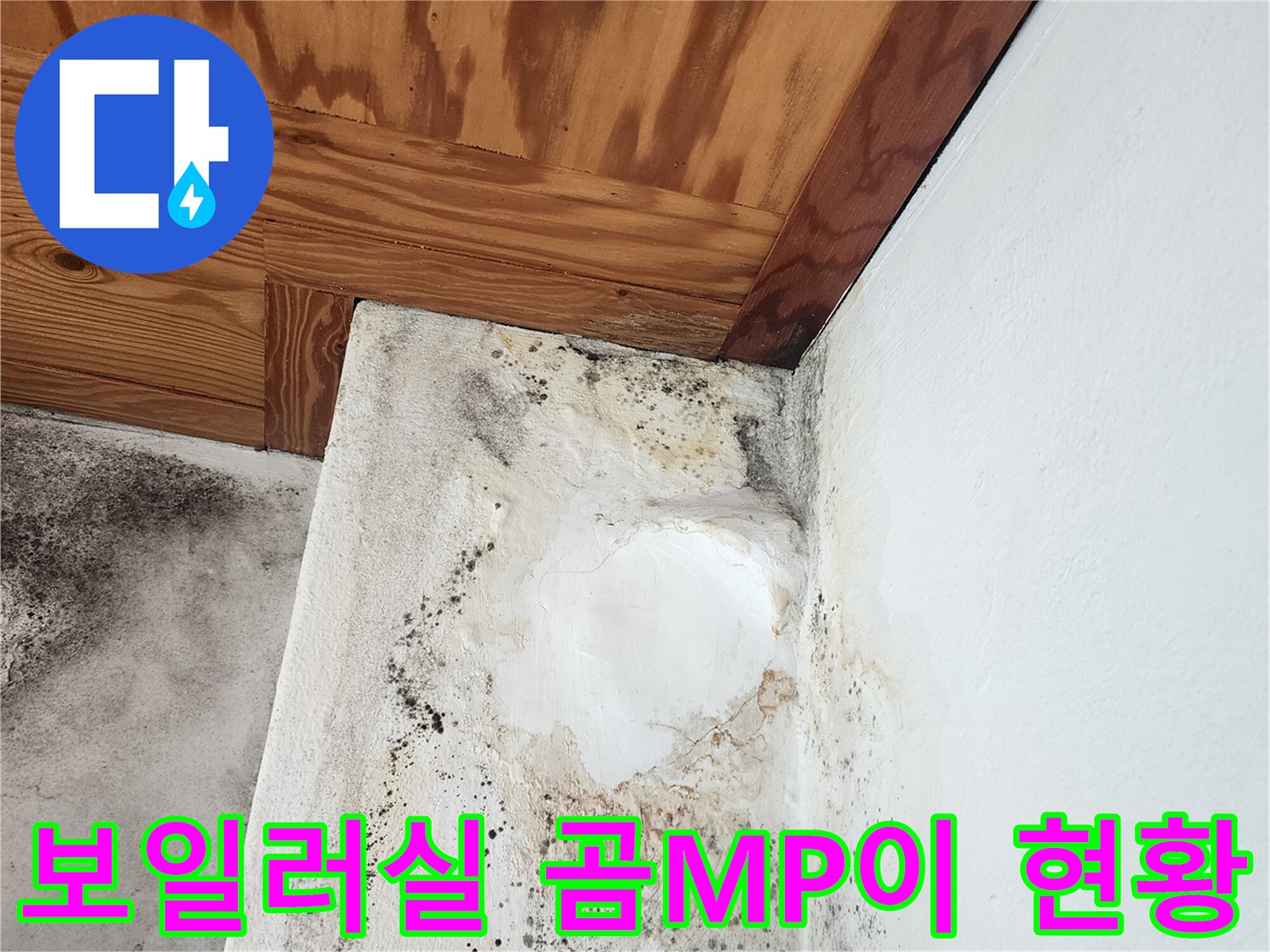 보일러실-벽면-곰팡이와-천장-목재-변색-사진