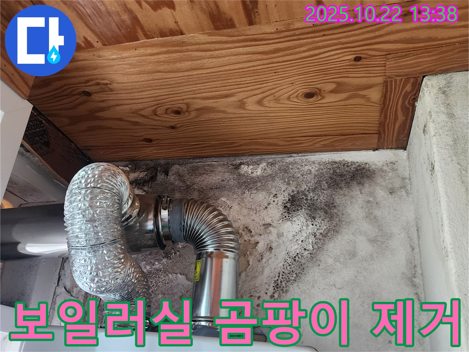 보일러실 벽면의 검은 곰팡이 - 누수로 인해 발생한 곰팡이 문제를 보여줍니다. 곰팡이 제거와 누수 해결이 시급합니다.