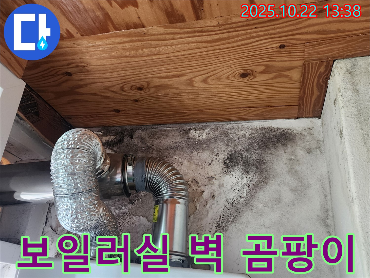 보일러실 벽면의 곰팡이 - 습기와 누수가 곰팡이 발생의 주요 원인입니다. 정밀 진단을 통해 원인을 파악해야 합니다.