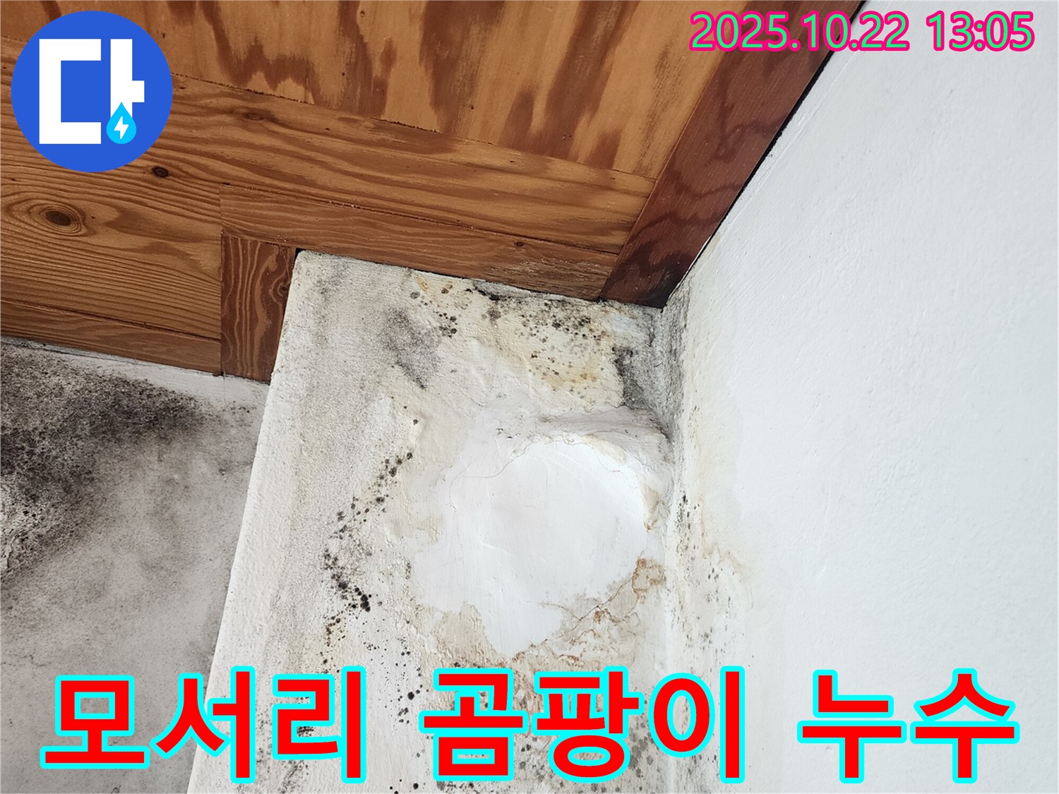 양주 누수탐지 전문 - 벽 모서리 곰팡이 발생 원인과 누수 가능성 진단