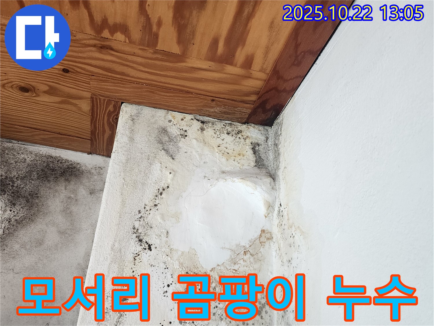 양주 누수탐지 전문 - 벽 모서리 곰팡이 발생 원인과 누수 가능성 진단