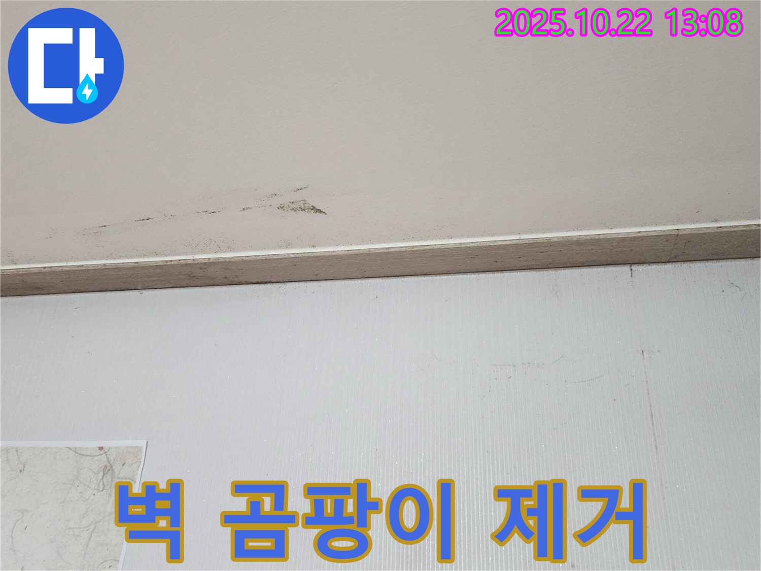 양주시 은현면 벽 누수 - 곰팡이 제거 작업