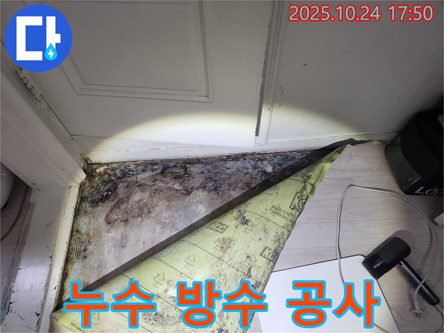 양재동 현대빌라 누수 - 장판 밑 곰팡이 문제, 누수탐지 후 방수 공사 진행 중