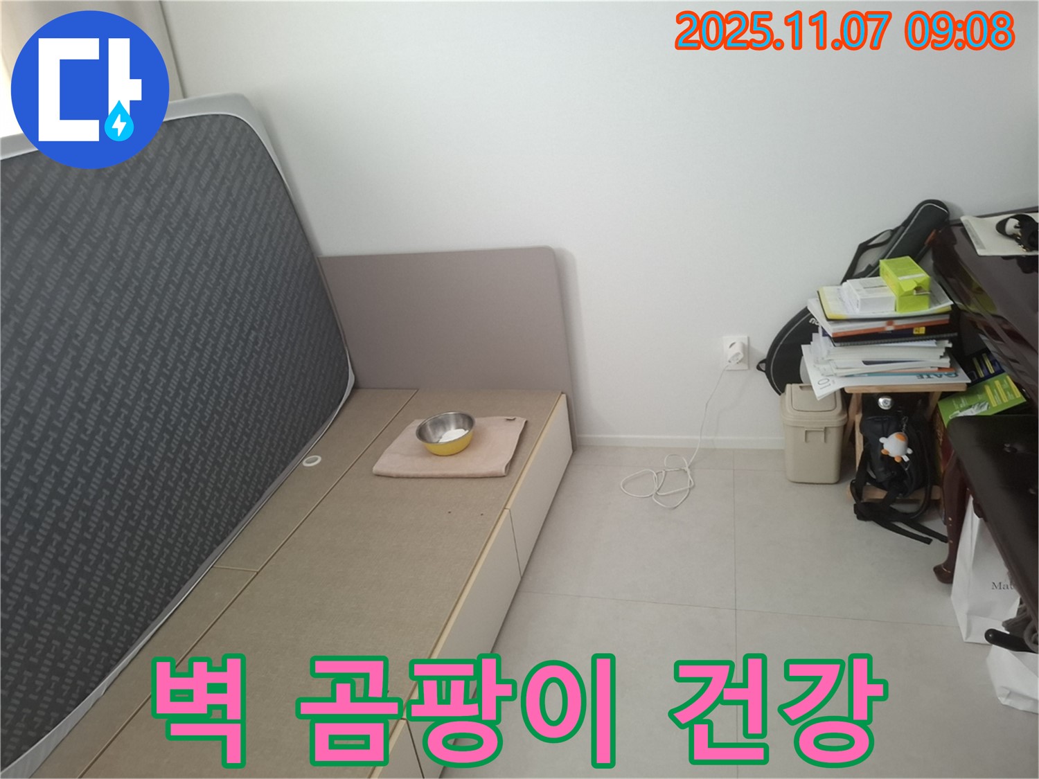 수원 신풍동 누수 - 침대 옆 벽에 곰팡이 발생, 건강 위협 여부 긴급 진단 및 곰팡이 제거