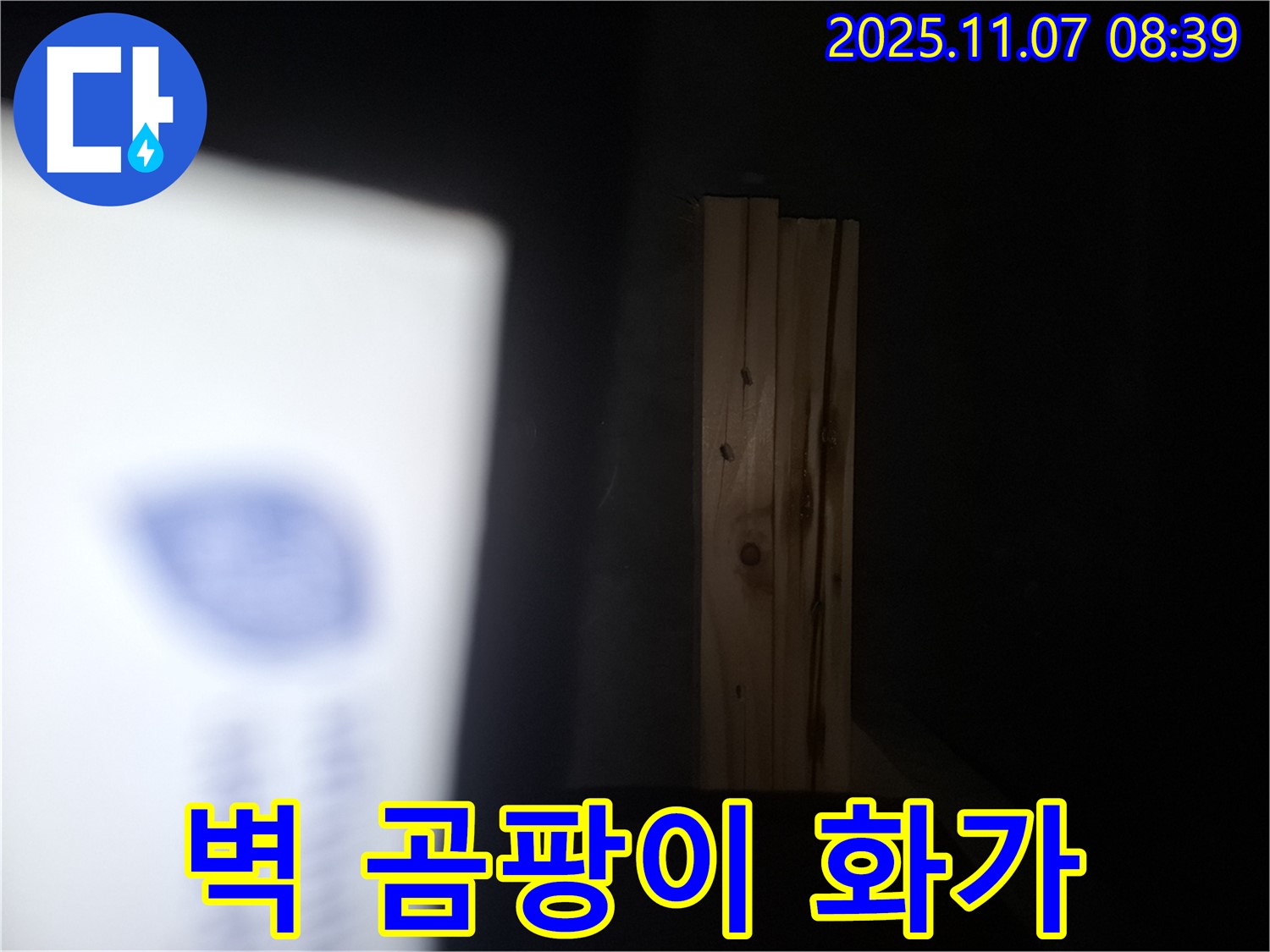 수원 팔달구 신풍동 누수 - 나무 벽에 곰팡이 화가가 그림을 그린다면 건물 전체에 곰팡이 예술 작품이 전시될지도 모릅니다!