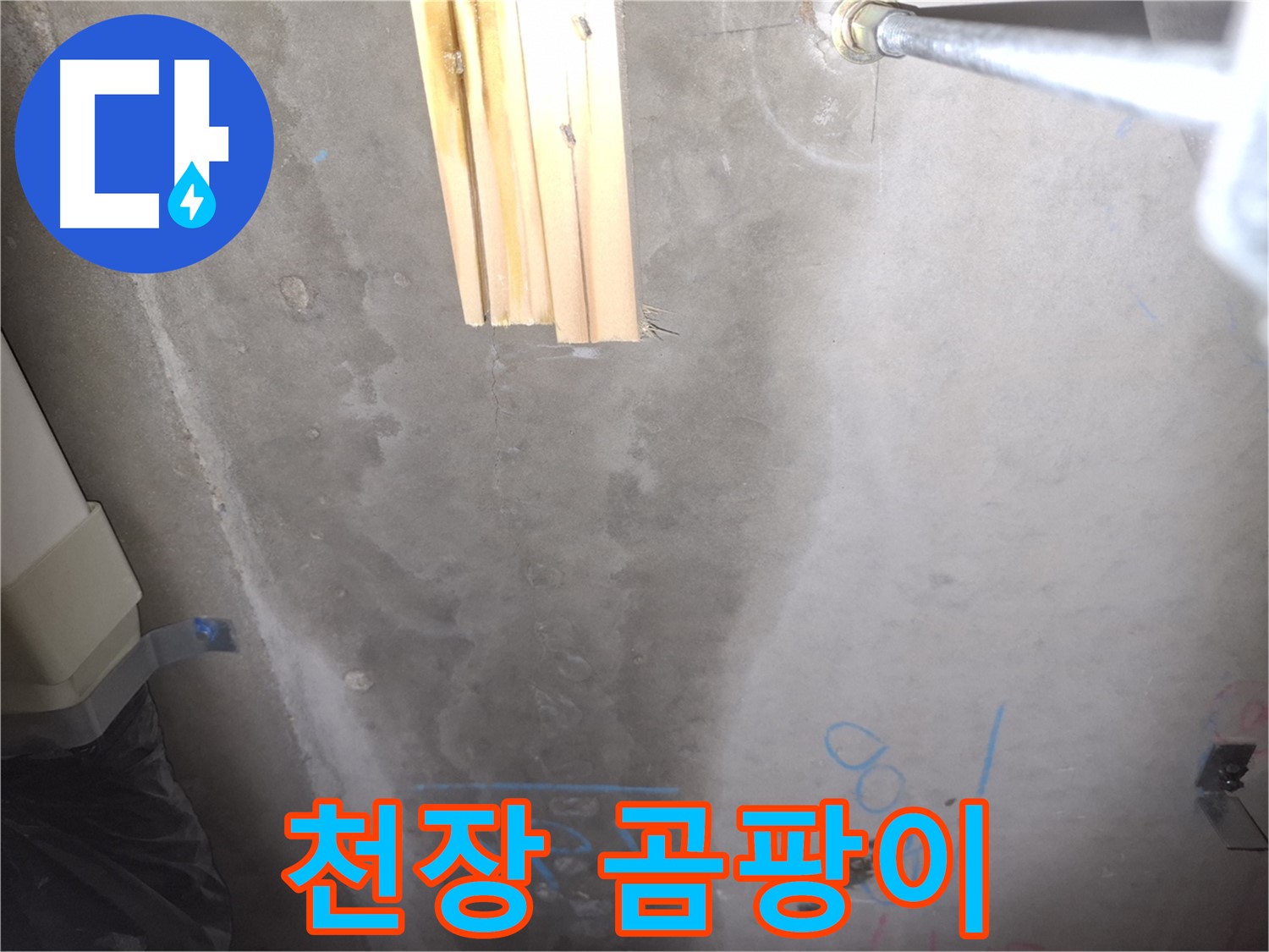 콘크리트 천장 누수 - 곰팡이 발생 원인 분석